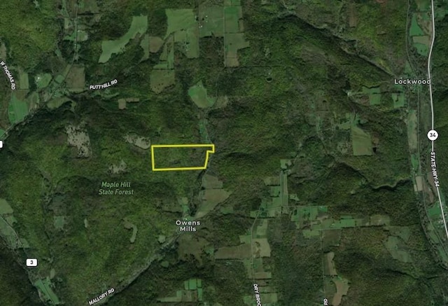Mallory Rd, Chemung, NY 14825