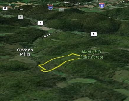 Mallory Rd, Chemung, NY 14825