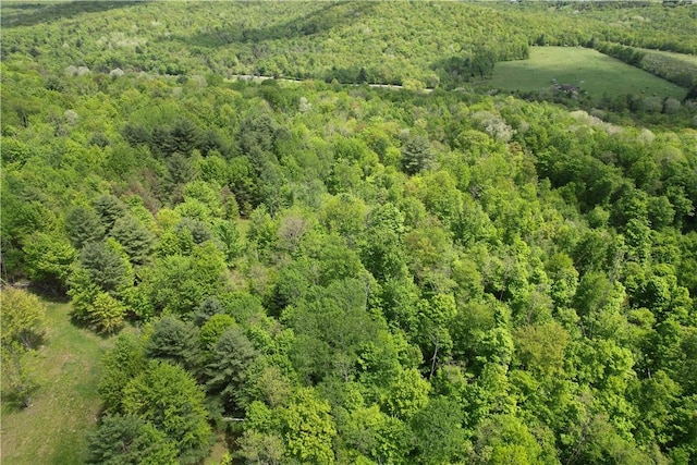 Mallory Rd, Chemung, NY 14825