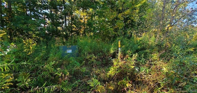 Cross Creek Dr, Clay, NY 13090