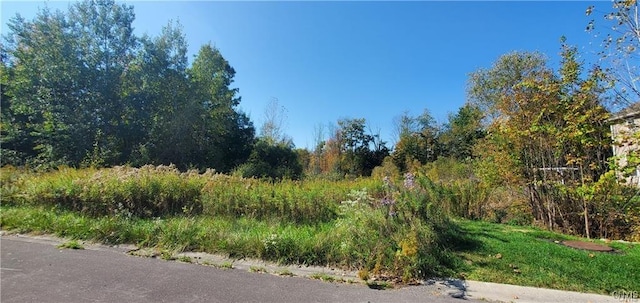 Cross Creek Dr, Clay, NY 13090