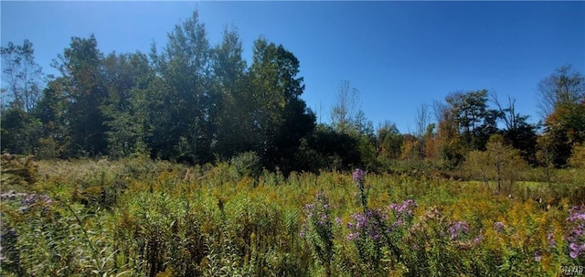 Cross Creek Dr, Clay, NY 13090