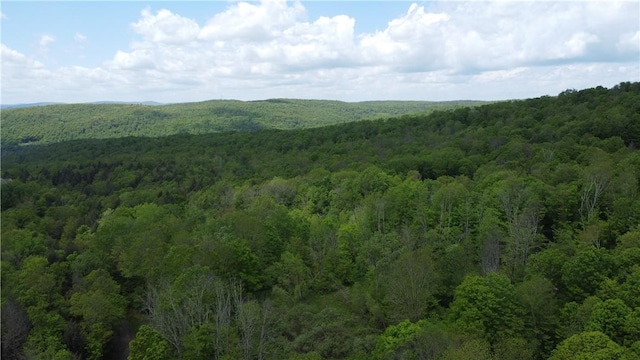 Snake Creek Rd, Hancock, NY 13783