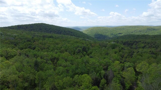 Snake Creek Rd, Hancock, NY 13783
