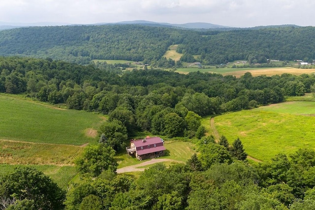 2165 Hamden Hill Rd, Hamden, NY 13782 - view of rural area featuring a forest