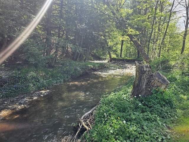 4636 Kirkwood Rd, Cohocton, NY 14826 - view of local wilderness