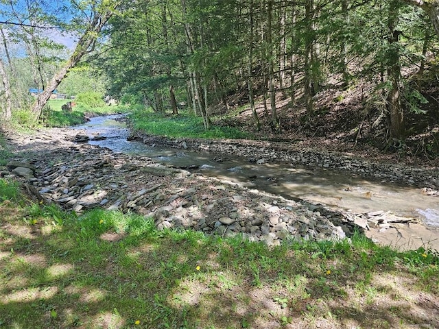 4636 Kirkwood Rd, Cohocton, NY 14826 - view of nature