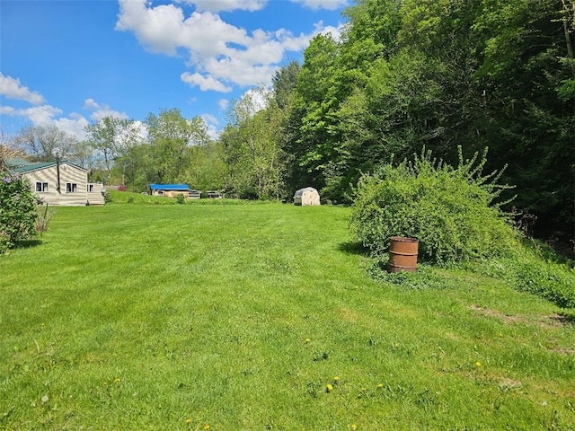 4636 Kirkwood Rd, Cohocton, NY 14826 - view of green lawn