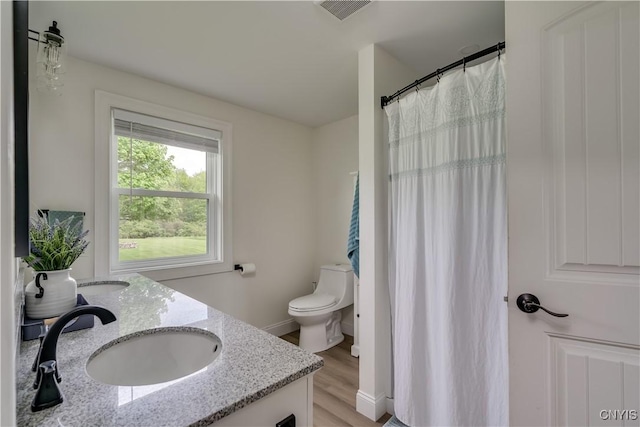 436 Centre St, Cape Vincent, NY 13618 - bathroom featuring double vanity, wood finished floors, toilet, baseboards, and a shower with curtain