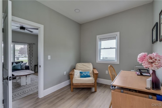 436 Centre St, Cape Vincent, NY 13618 - office featuring light wood-style flooring, baseboards, and a ceiling fan