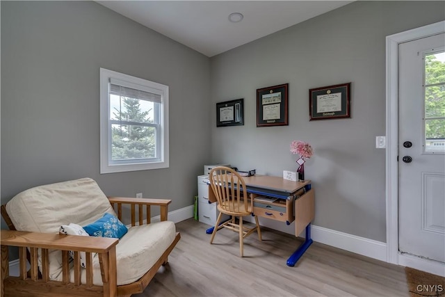 436 Centre St, Cape Vincent, NY 13618 - office space with light wood-style flooring and baseboards