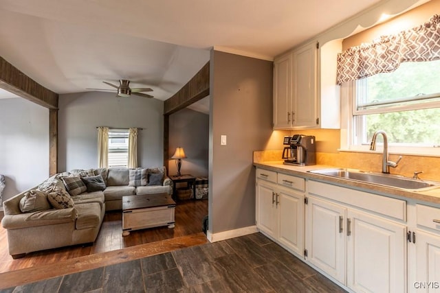 906 Beley Ave, Salina, NY 13211 - living room featuring dark wood-type flooring, ceiling fan, healthy amount of natural light, and baseboards