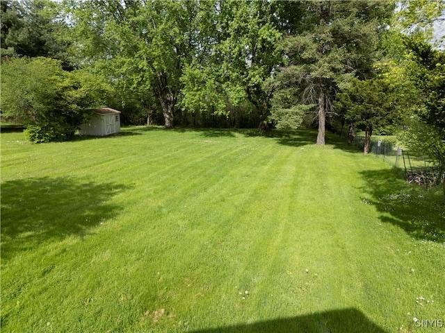 829 Franklin St, Skaneateles, NY 13152 - view of yard