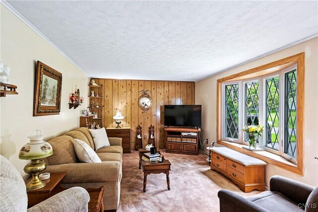 829 Franklin St, Skaneateles, NY 13152 - living area with a textured ceiling, wood walls, light carpet, and ornamental molding