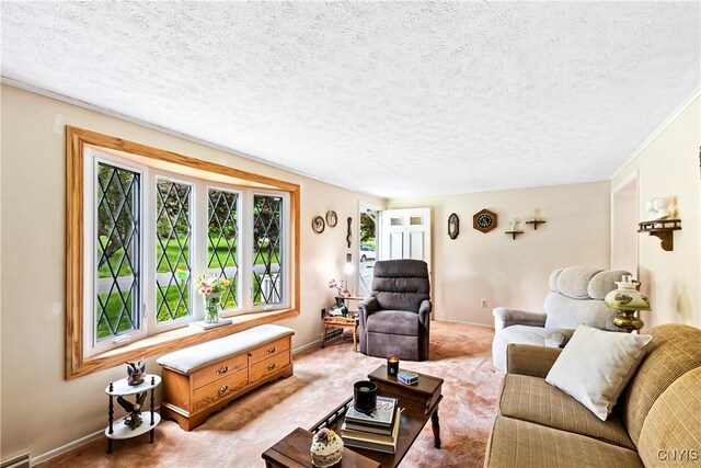 829 Franklin St, Skaneateles, NY 13152 - living room featuring carpet floors, baseboards, and a textured ceiling