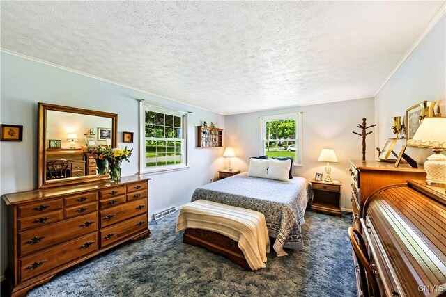 829 Franklin St, Skaneateles, NY 13152 - bedroom featuring multiple windows, dark carpet, a textured ceiling, ornamental molding, and baseboards