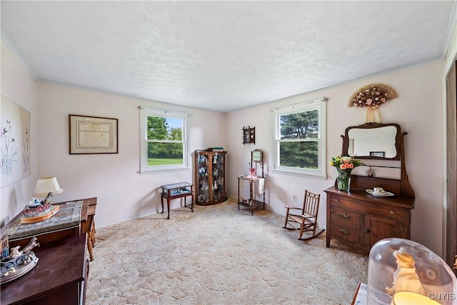 829 Franklin St, Skaneateles, NY 13152 - living area with plenty of natural light, carpet floors, and a textured ceiling