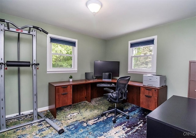 106 Peterson Dr, Camillus, NY 13031 - office area with healthy amount of natural light