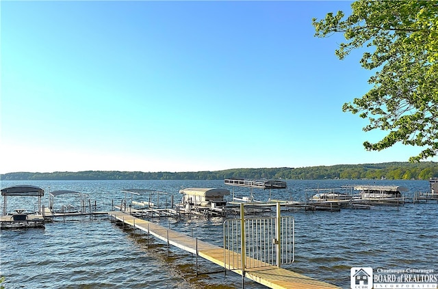 50 Lakeside Dr Unit C103, Ellery, NY 14712 - dock featuring a water view