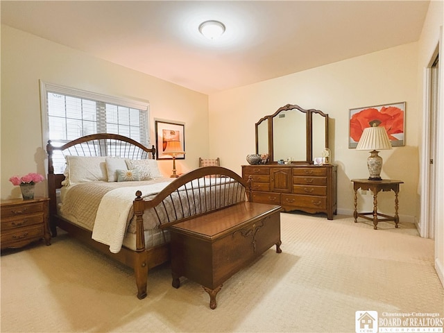 50 Lakeside Dr Unit C103, Ellery, NY 14712 - bedroom featuring light carpet and baseboards