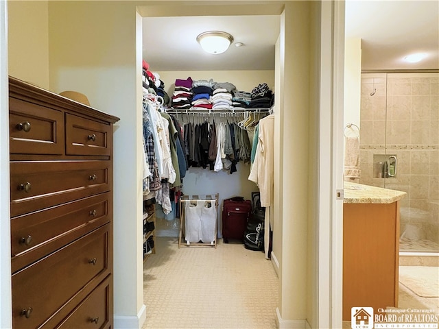 50 Lakeside Dr Unit C103, Ellery, NY 14712 - view of spacious closet