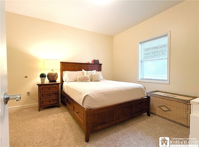 50 Lakeside Dr Unit C103, Ellery, NY 14712 - bedroom featuring light carpet and baseboards