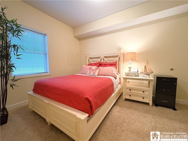 50 Lakeside Dr Unit C103, Ellery, NY 14712 - bedroom with light colored carpet and baseboards