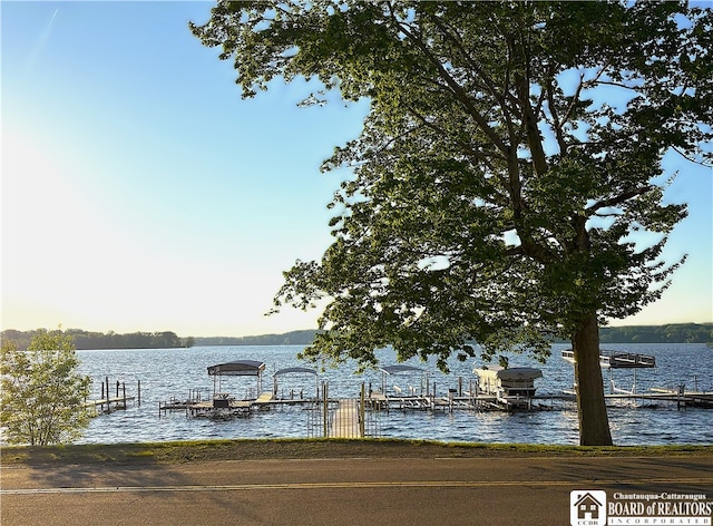 50 Lakeside Dr Unit C103, Ellery, NY 14712 - dock area with a water view