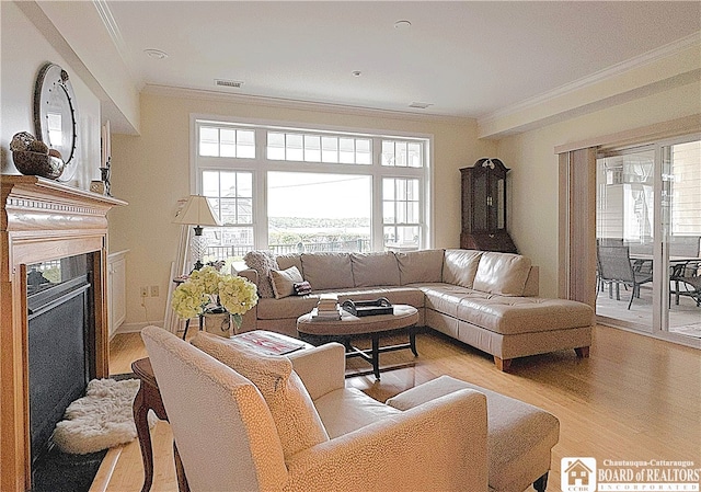 50 Lakeside Dr Unit C103, Ellery, NY 14712 - living area featuring ornamental molding, light wood-style floors, plenty of natural light, and a fireplace