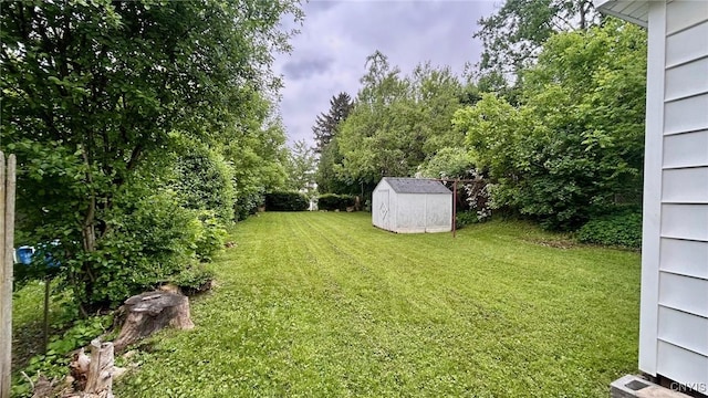 318 Boyden St, Syracuse, NY 13203 - view of green lawn