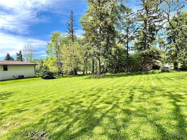 5302 William St, Lancaster, NY 14086 - view of green lawn