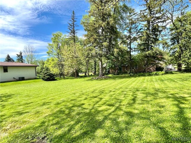 5302 William St, Lancaster, NY 14086 - photo 22