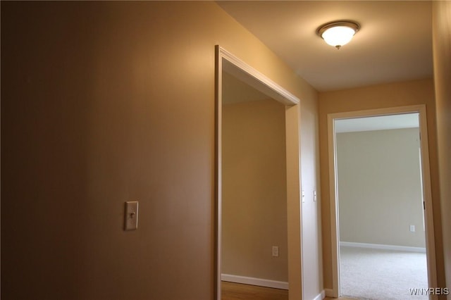 21 Maple St, Evans, NY 14006 - hallway with baseboards