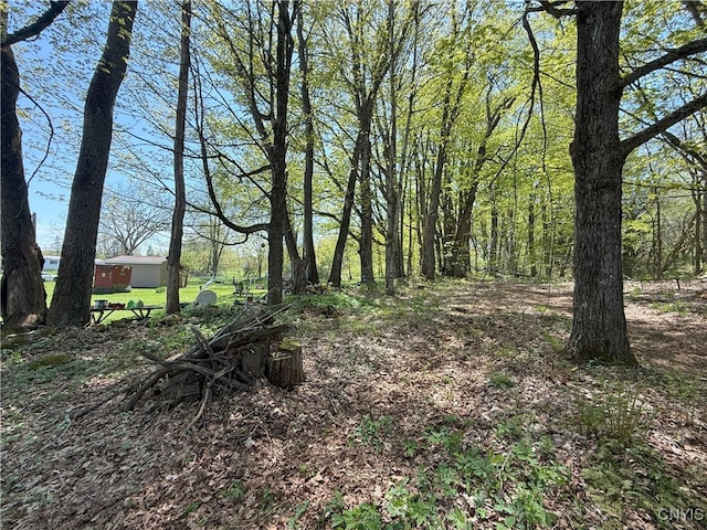 9985 Briggs Rd, Remsen, NY 13438 - photo 7