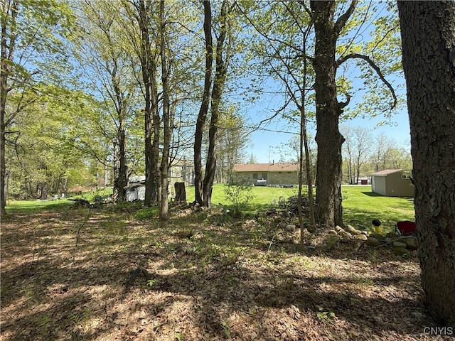 9985 Briggs Rd, Remsen, NY 13438 - photo 8
