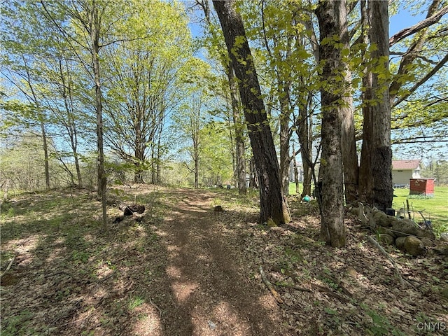 9985 Briggs Rd, Remsen, NY 13438 - photo 9