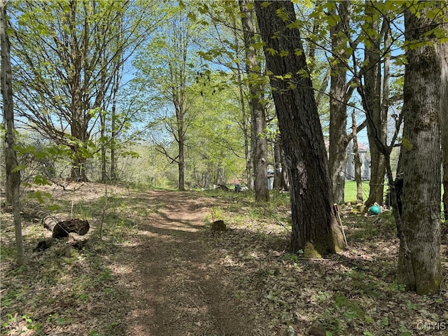 9985 Briggs Rd, Remsen, NY 13438 - photo 10