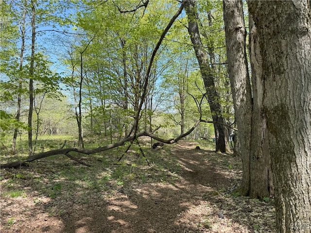 9985 Briggs Rd, Remsen, NY 13438 - photo 11