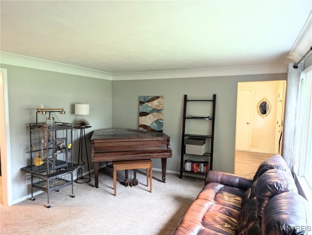 343 Carrollwood Dr, Porter, NY 14174 - carpeted living room with baseboards and crown molding