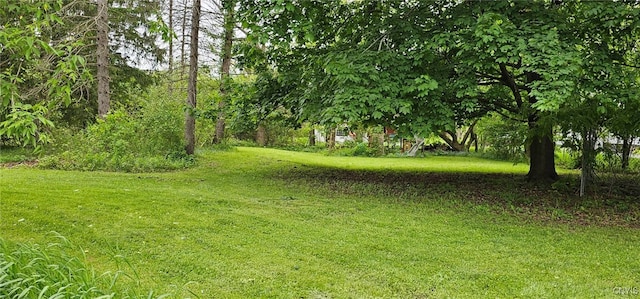 4929 Fayetteville Manlius Rd, Manlius, NY 13104 - photo 34