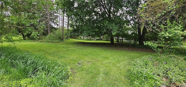 4929 Fayetteville Manlius Rd, Manlius, NY 13104 - photo 37