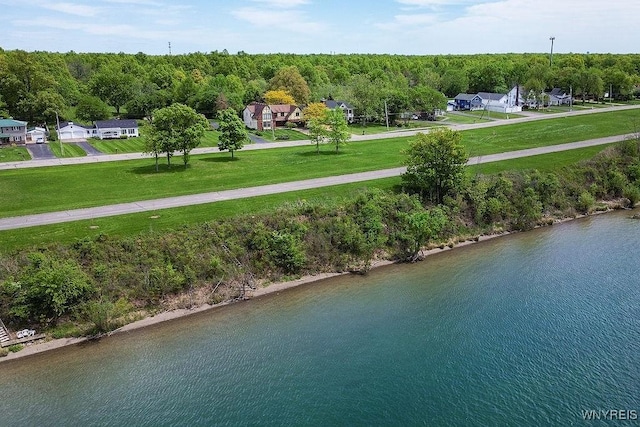 2227 W River Rd, Grand Island, NY 14072 - bird's eye view of a nearby body of water and a forest