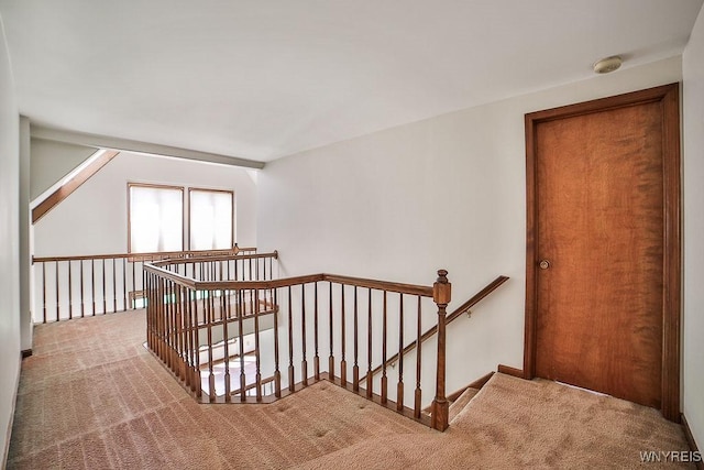 2227 W River Rd, Grand Island, NY 14072 - corridor featuring an upstairs landing and carpet floors