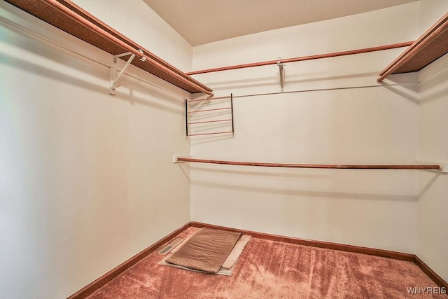 2227 W River Rd, Grand Island, NY 14072 - spacious closet featuring carpet floors