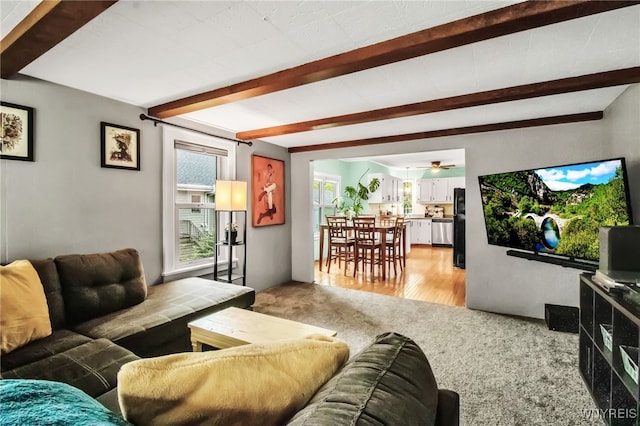 5870 Goodrich Rd, Clarence, NY 14032 - living room featuring beamed ceiling, light colored carpet, ceiling fan, and light wood-style floors
