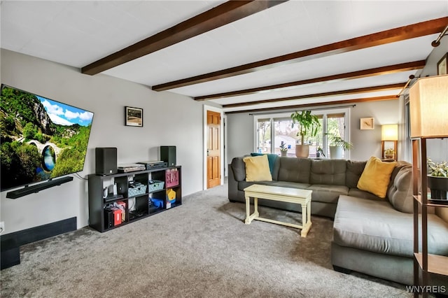 5870 Goodrich Rd, Clarence, NY 14032 - living room featuring beam ceiling and carpet flooring