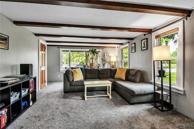5870 Goodrich Rd, Clarence, NY 14032 - living room featuring plenty of natural light, carpet, and beamed ceiling