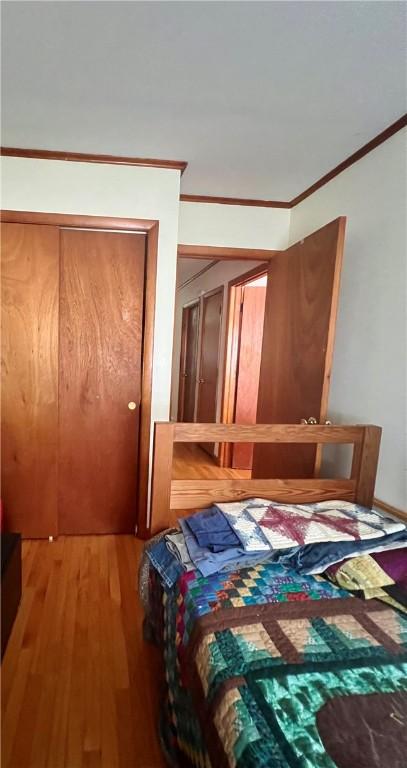 8 Birch St, Oneonta-City, NY 13820 - bedroom with light wood-type flooring and ornamental molding