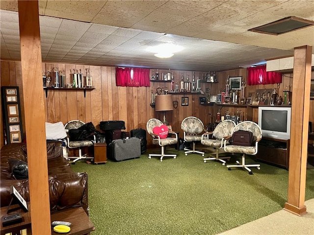 8 Birch St, Oneonta-City, NY 13820 - recreation room featuring wooden walls and carpet