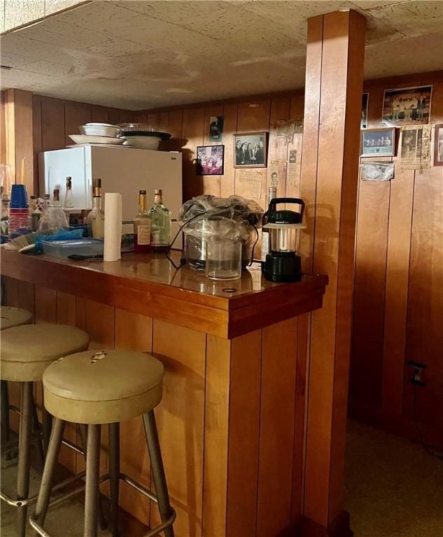 8 Birch St, Oneonta-City, NY 13820 - bar area featuring freestanding refrigerator and wood walls